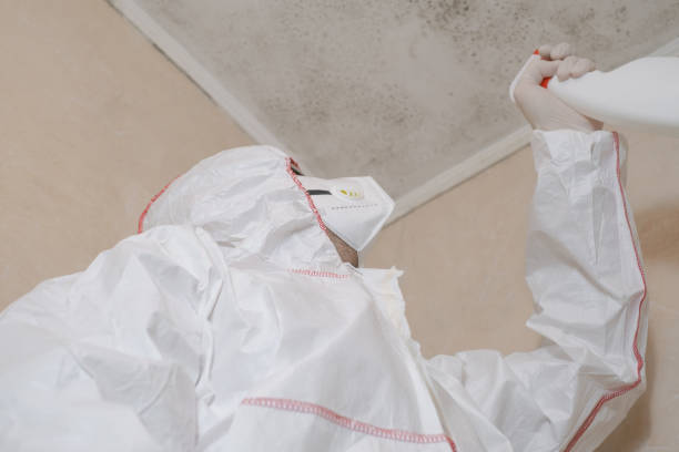 Best Crawl Space Mold Removal  in Fairfax, CA